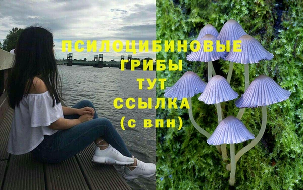 дмт Магас