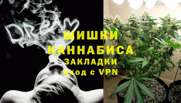 дмт Магас