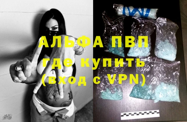 гашик Майский