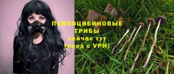 дмт Магас