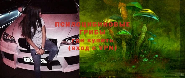 дмт Магас