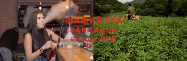 дмт Магас