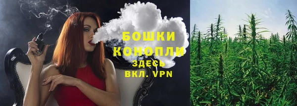 дмт Магас