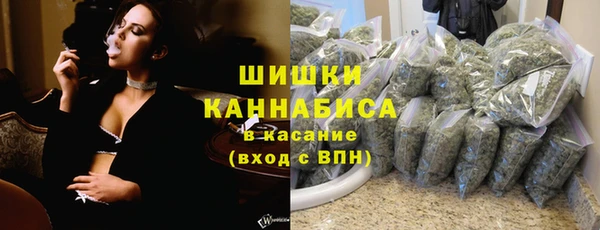 дмт Магас