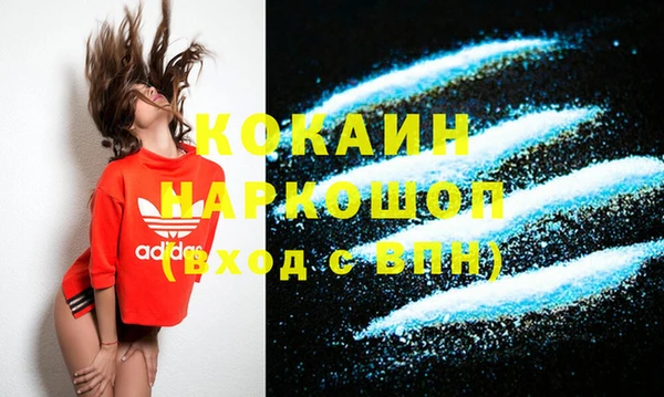 гашик Майский